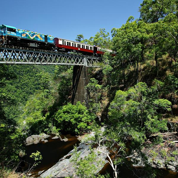 Port Douglas: Kuranda Skyrail & Scenic Rail Pass with Roundtrip Hotel Transfers 1