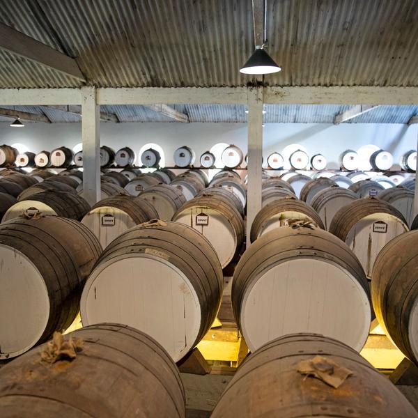 Barossa Valley: Taste a Century-Old Wine on a Guided Taste of History Tour at Seppeltsfield Estate & Cellar Door Tasting 3