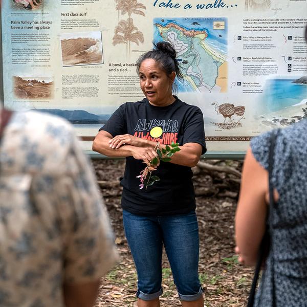 90-Minute Cape Byron Aboriginal Culture Guided Walking Tour with Bush Tucker Tasting 1