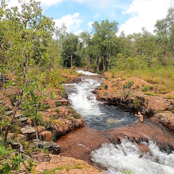 Darwin: Get Wild on an Intimate Litchfield National Park Eco-Tour with Lunch & Roundtrip Transfers 2