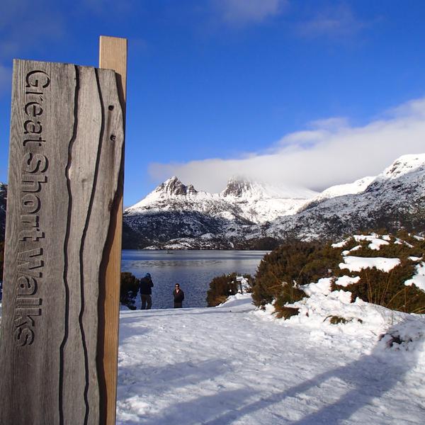 Full-Day Cradle Mountain National Park Scenic Tour with Pick-Up and Drop-Off 5