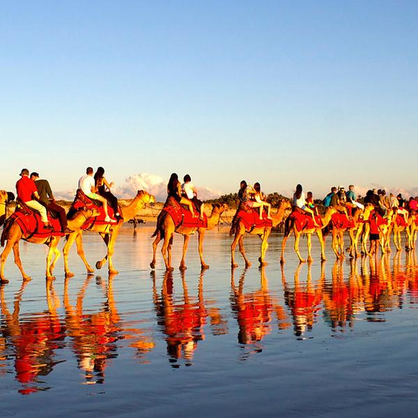 Broome: One-Hour Sunset Camel Tour on Cable Beach 3