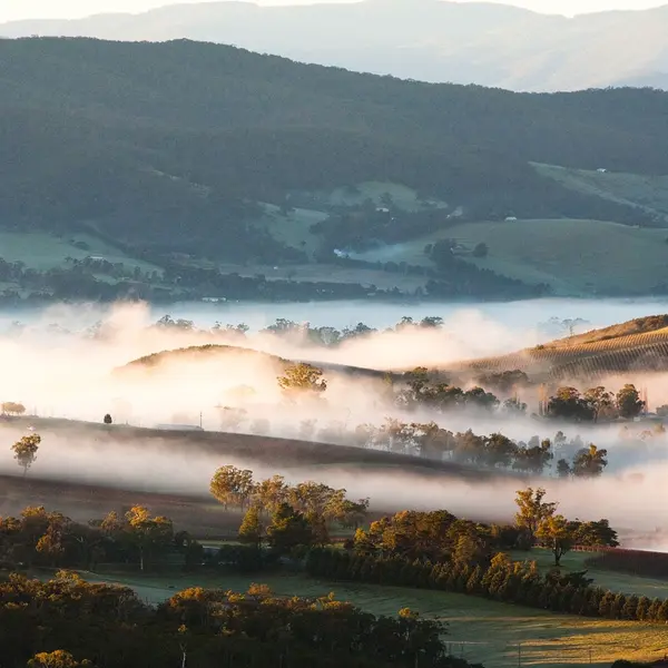 Yarra Valley Lodge , Yarra Valley, Victoria 4