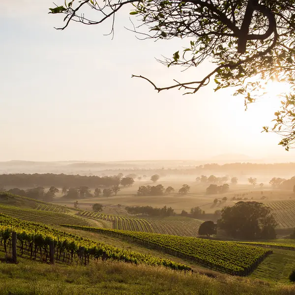 Château Élan at The Vintage, Hunter Valley, New South Wales 4