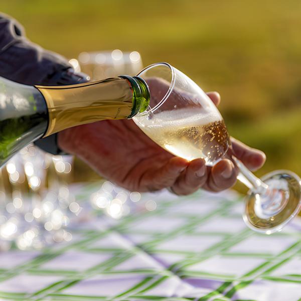 Six-Hour Gold Coast Ballooning Adventure with Glass of Sparkling Wine & Return Transfers 4