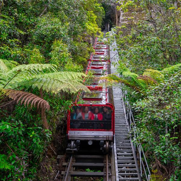 Sydney: Full-Day Blue Mountains Tour with Featherdale Wildlife Park Visit, River Cruise & Three Scenic Rides 6