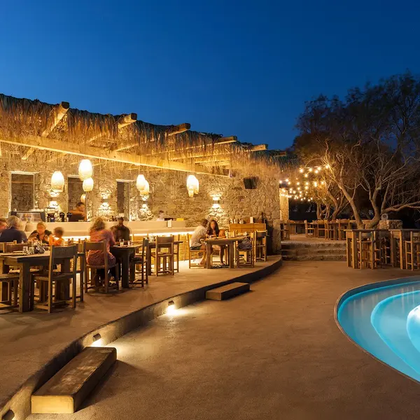 The Wild Hotel by Interni, Mykonos, Greece 5