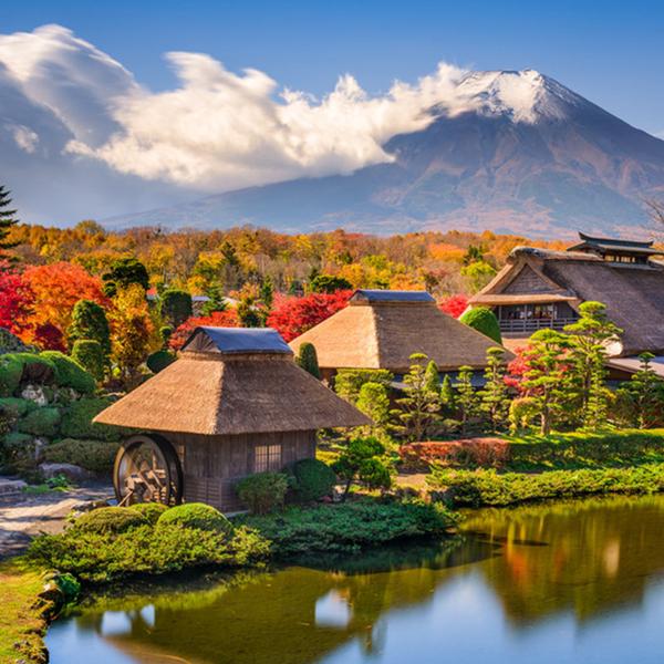Ultimate Japan 2024 Small-Group Tour with Mount Fuji Stay & Kyoto to Hiroshima Bullet Train by Luxury Escapes Tours 6
