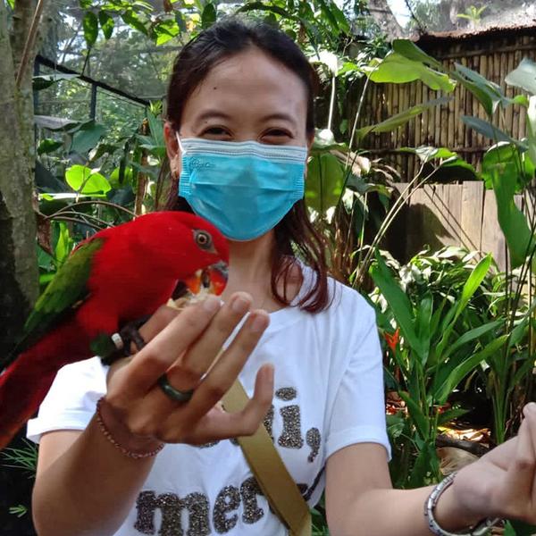 Bali: Head into Nature with a Bali Bird Park, Ubud Market and Monkey Forest Guided Tour with Lunch 2