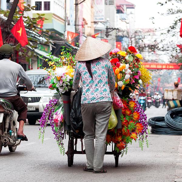 Deluxe 10-Day Vietnam Highlights 2026 with Ha Long Bay & Hoi An by  4