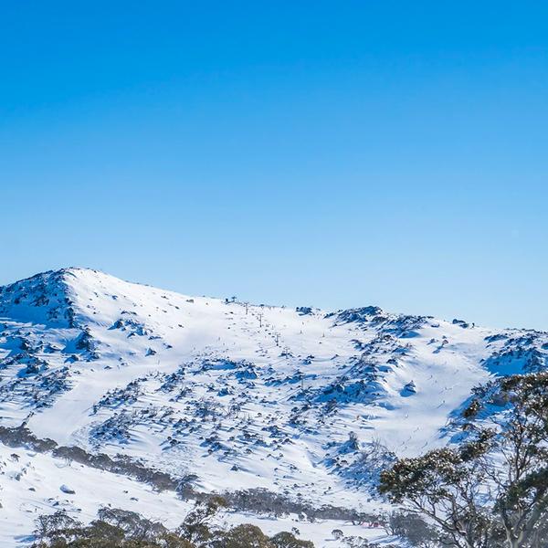 Canberra: Explore the Snowy Mountains on a Full-Day Snow Trip with Bus Transfers to Bullocks Flat Skitube & Thredbo 1