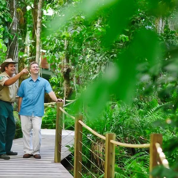 Journey through Heritage-Protected Rainforest with a One-Way Skyrail Ride & Scenic Rail Boarding Pass 3