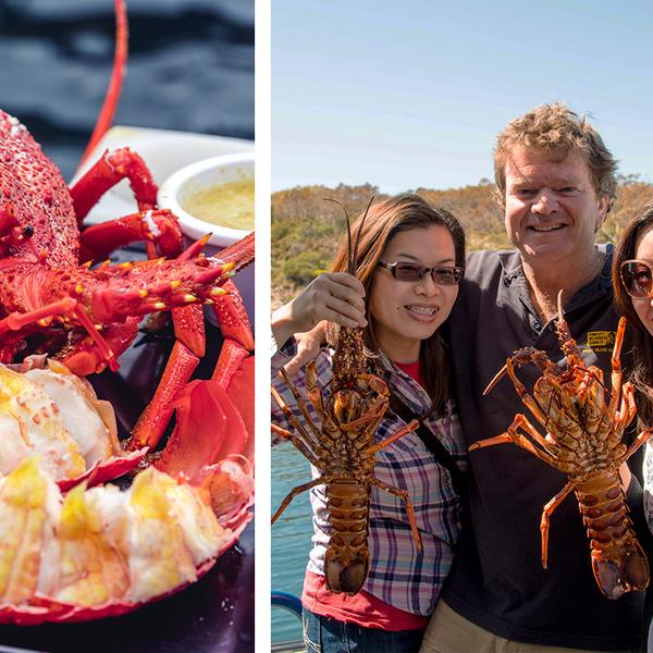 Tasmania: Full-Day Seafood Cruise with Freshly Caught Wild Abalone, Gourmet Lunch & Drinks 8