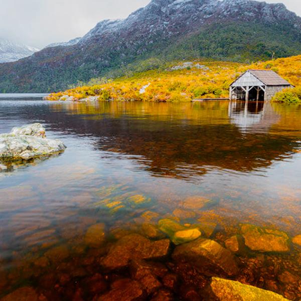 Full-Day Scenic Tour to Cradle Mountain with Dove Lake Visit & King Billy Pine Wildlife Walks 3