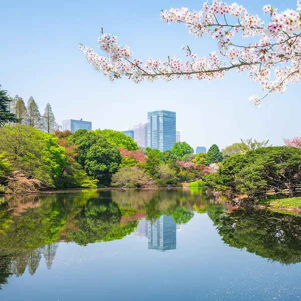 Kimpton Shinjuku Tokyo, an IHG Hotel, Tokyo, Japan 6