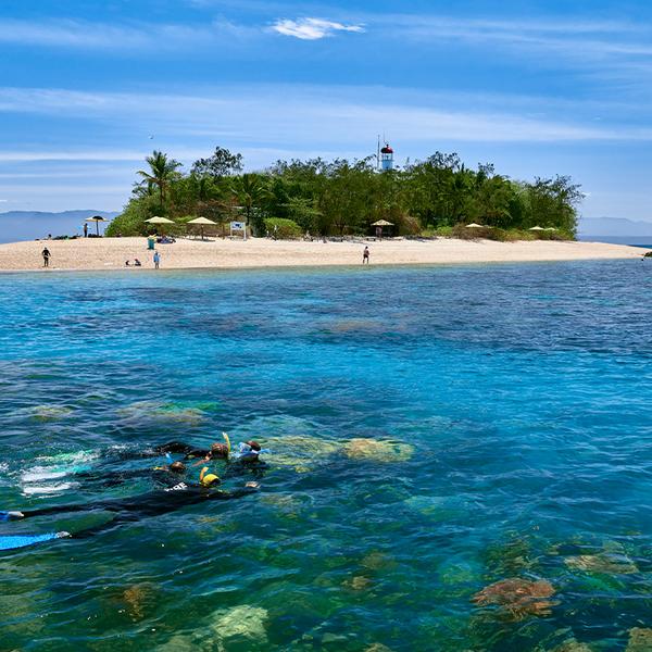 Port Douglas: Great Barrier Reef Low Isle Cruise with Snorkelling Equipment, Tropical Lunch & Glass of Sparkling 7