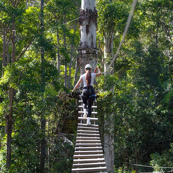 Take on Zipline & High Ropes Courses at The TreeTop Challenge at Thunderbird Park 7