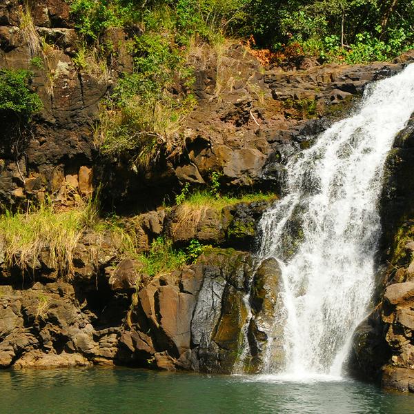 O'ahu: See the Food & Beauty of O'ahu on a Full-Day Ultimate Circle Island Tour with Breakfast & Lunch 2