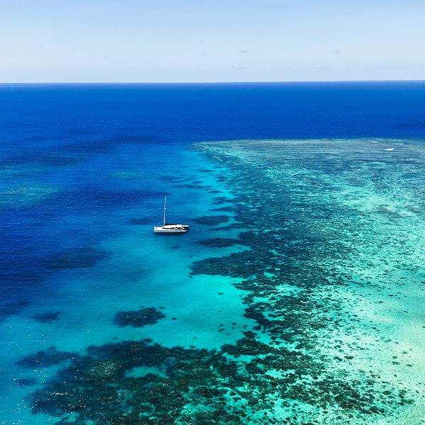 Small Group Mackay Coral Cay Luxury Sailing Eco-Tour with Guided Snorkelling & Buffet Lunch 8