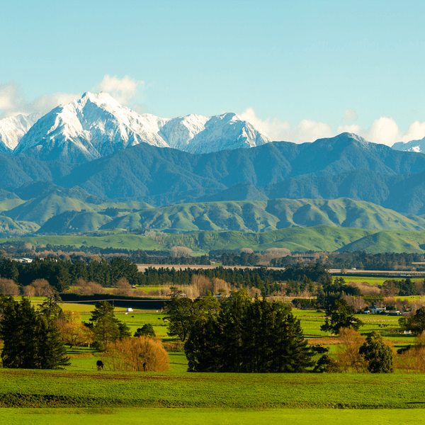 New Zealand 7-Day North Island Highlights with Waitomo Glowworm Caves & Hawke's Bay Wine Tasting by  4