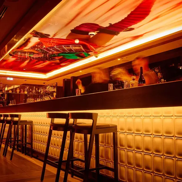 The Darling, Sydney, New South Wales 8