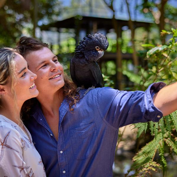 Admission to Award-Winning Australian Wildlife Habitat Sanctuary in Port Douglas 2