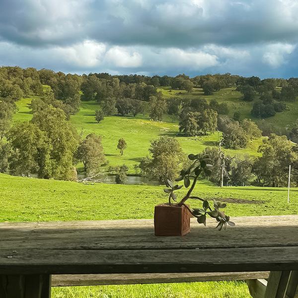 1.5-Hour Adventure Horse Ride with Grazing Platter & Glass of Wine in Jarrahdale 5