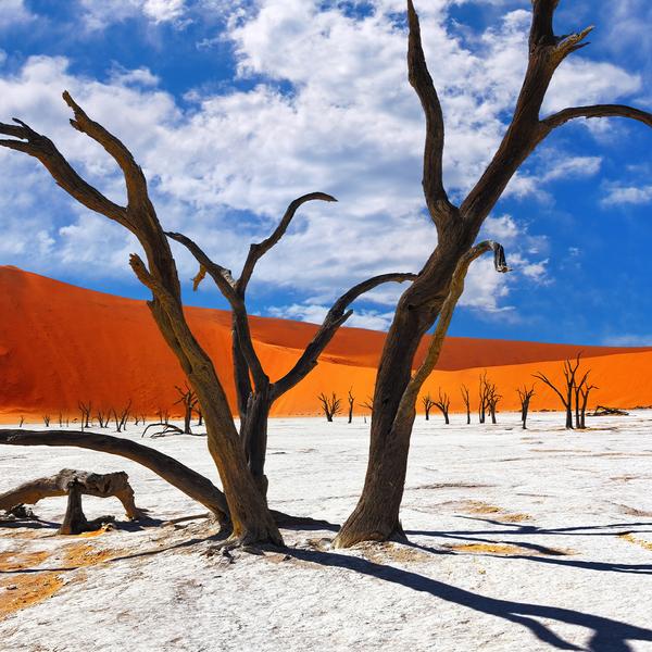Namibia Small-Group Safari with Luxury Lodges, Etosha Heights Private Reserve, Wildlife Drives & Sossusvlei Dune Stay by Luxury Escapes Tours 4