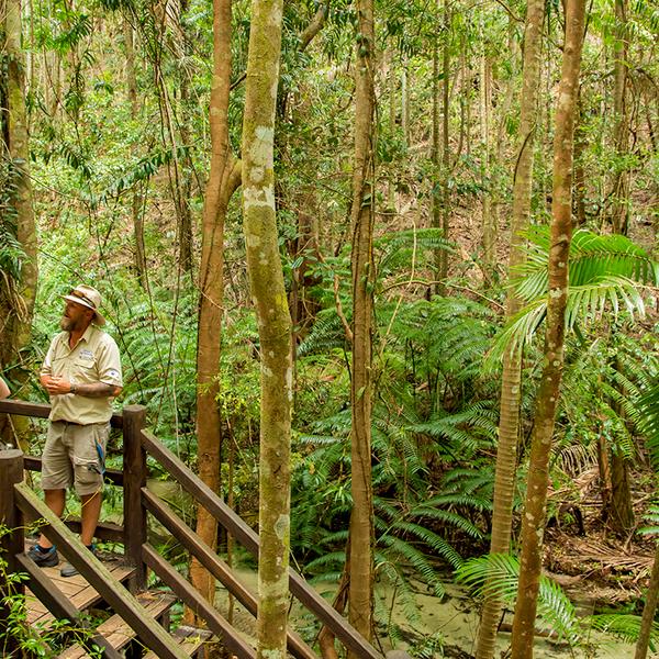 Full-Day 4WD Coach Tour of K'gari (Fraser Island) with Lake McKenzie, 75 Mile Beach, Eli Creek, Lunch & Ferry Transfers 3