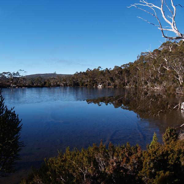 Immerse Yourself in Spectacular Forests on a Full-Day Mount Field National Park Tour with Return Transfers 6