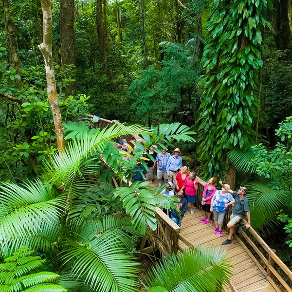 Cairns: Three-Day Daintree Rainforest, Great Barrier Reef & Skyrail Tour with Kuranda Village Exploration 1