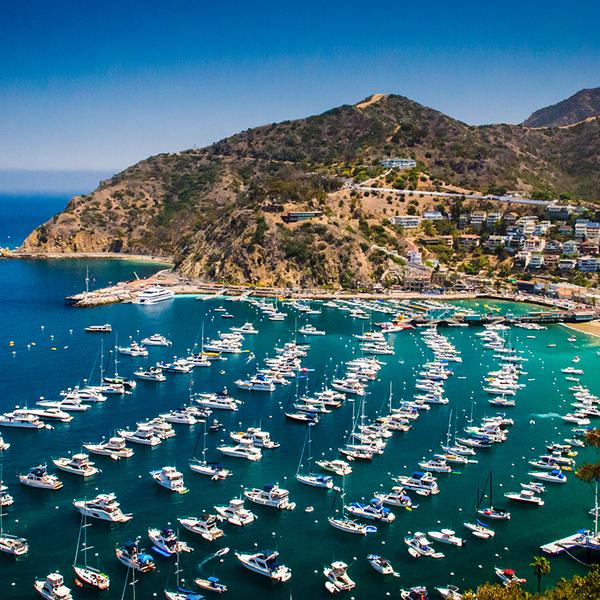 Anaheim: Explore Catalina Island with a Scenic Avalon Drive Tour, Undersea Expedition & Roundtrip Hotel Transfers 1