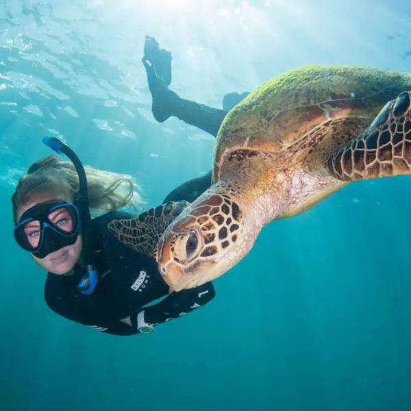 Moore Reef Pontoon Full-Day Tour with Underwater Observatory, Waterslide, Snorkelling & Optional Diving Upgrades 5
