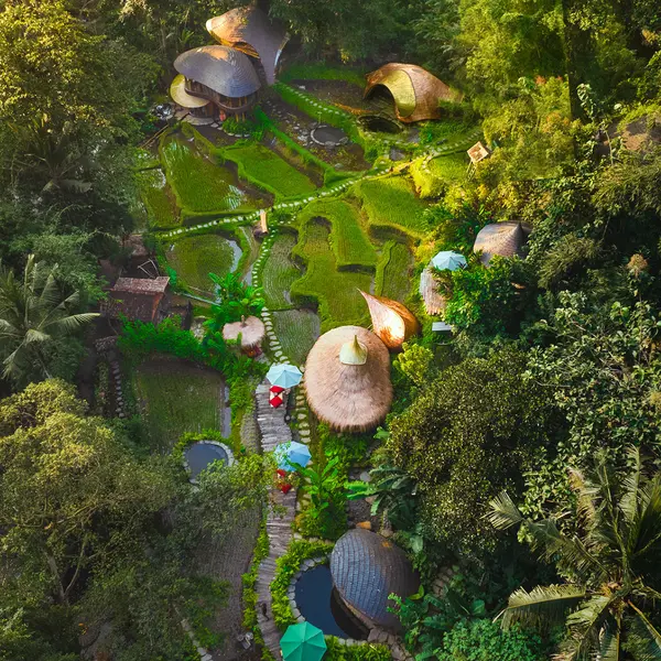 Bambu Indah Resort, Ubud, Bali 4