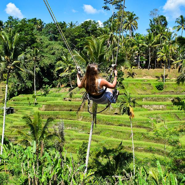 Bali: Full-Day Tegalalang Adventure with Coffee Tour, Ziplining, Jungle Swing & Lunch 3