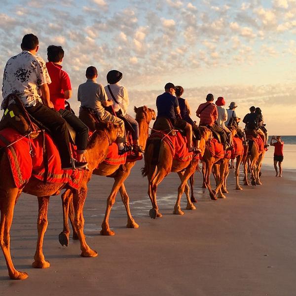Broome: One-Hour Sunset Camel Tour on Cable Beach 2