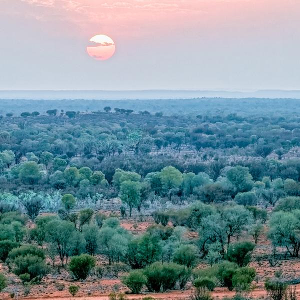 The Ghan Expedition from Darwin to Adelaide with Arnhem Land & Tiwi Islands Outback Adventure by Luxury Escapes Tours 8