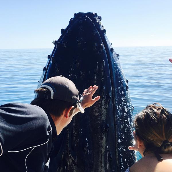 Full-Day K'gari (Fraser Island) Cruise with Return Hotel Transfers & Buffet Lunch  7