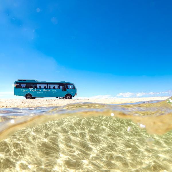 Rainbow Beach: Full-Day 4WD Coach Tour of K'gari (Fraser Island) with Lake McKenzie, 75 Mile Beach, Eli Creek, Lunch & Ferry Transfers 4