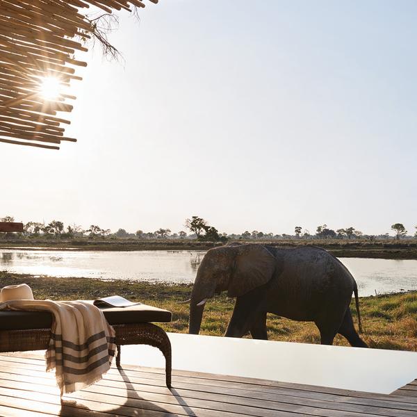 Botswana Private Fly-In Safari with All-Inclusive Belmond Lodge Stays & Daily Game Drives by Luxury Escapes Tours 1