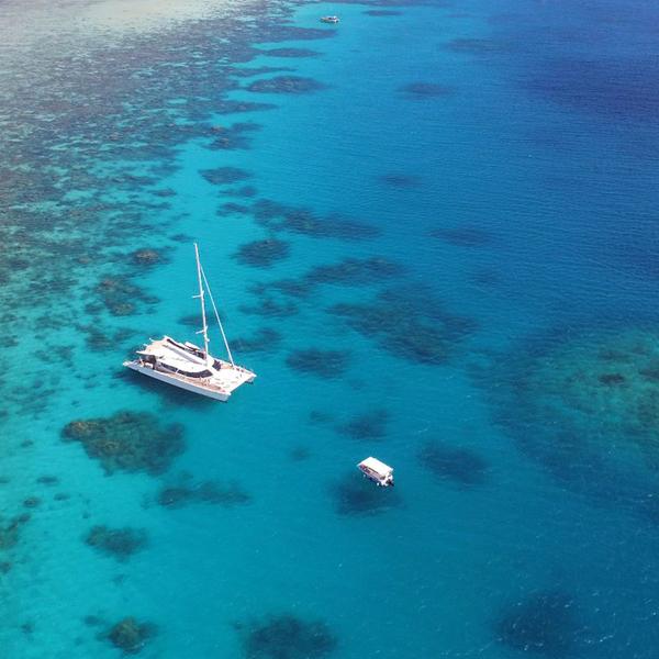 Port Douglas: Small Group Mackay Coral Cay Luxury Sailing Eco-Tour with Guided Snorkelling & Buffet Lunch 1