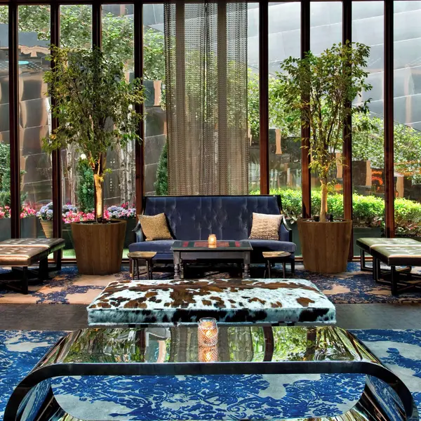 Dream Downtown, by Hyatt, New York, United States 7