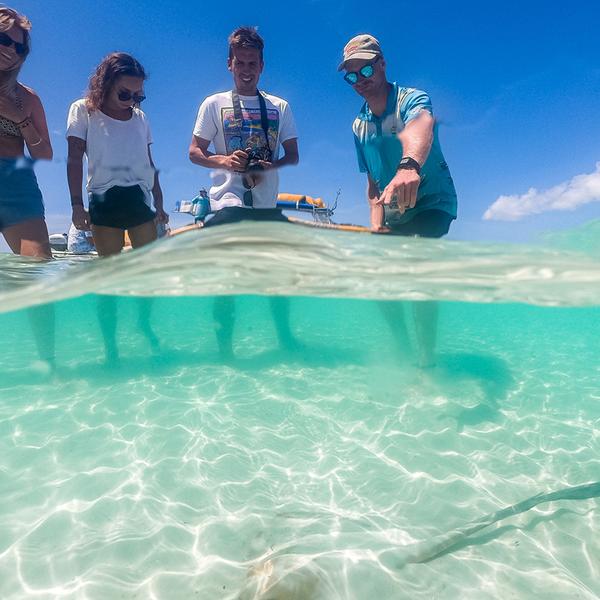 Whitsunday Islands: Exhilarating Full-Day Boat Tour from Daydream Island with Snorkelling, Beach Visits & Bushwalks  7