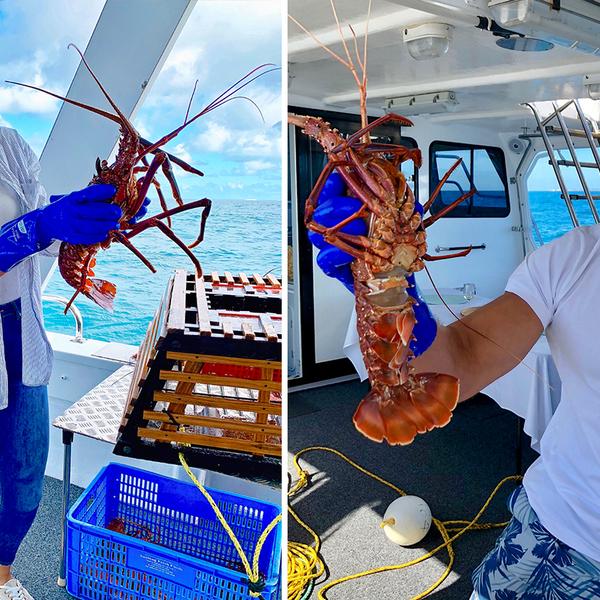 Half-Day Deluxe Fremantle to Rottnest Island Cruise with Seven-Course Seafood Feast, Drinks & Interactive Fishing Experience 6