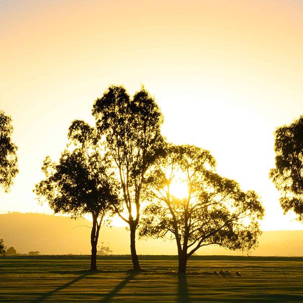 Melbourne: Take a Swing at an 18-Hole Golf Package at Goonawarra Public Golf Course 2