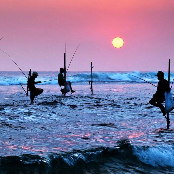 5 Very Different Ways to Tour Sri Lanka Luxury Escapes