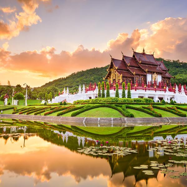 Northern Thailand Small-Group E-Bike Adventure with Chiang Mai Food Tour, Coffee Tasting Experience & Thai Cooking Class by Luxury Escapes Trusted Partner Tours 7
