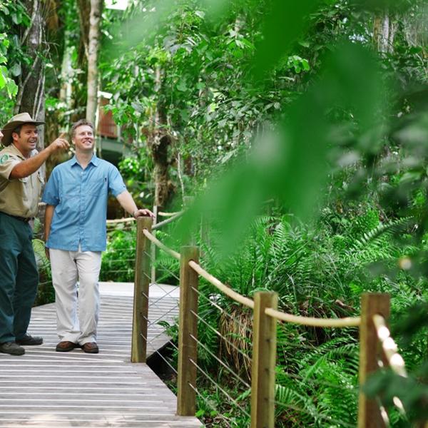 Cairns: Kuranda Skyrail & Gold Class Scenic Rail Pass with Drinks & Roundtrip Hotel Transfers  5