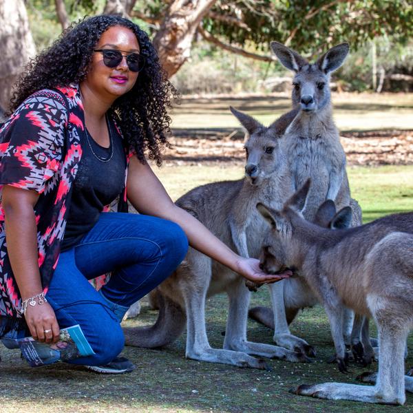 Immerse Yourself in Spectacular Forests on a Full-Day Mount Field National Park Tour with Return Transfers 8