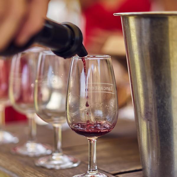 Half-Day Swan Valley Winery Tour with Tastings & Shared Cheese Board 3